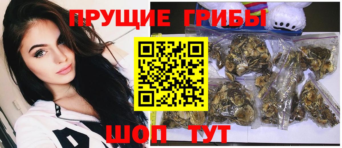 Галлюциногенные грибы GOLDEN TEACHER  Псилоцибиновые грибы прущие грибы  Вход с VPN  Гусь-Хрустальный 