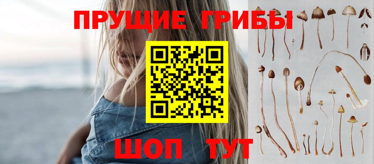 Галлюциногенные грибы прущие грибы Гусь-Хрустальный