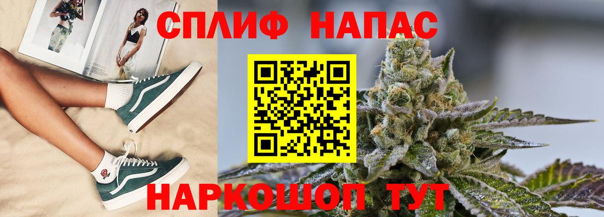 Каннабис MAZAR  МАРИХУАНА семена  Канабис марихуана  Марихуана гибрид  Гусь-Хрустальный  Вход с VPN 